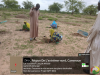 mise en terre andirni 5